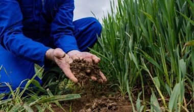 Three-year extension of nitrates derogation granted