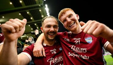 Hurling club semis set for Parnell Park and Thurles