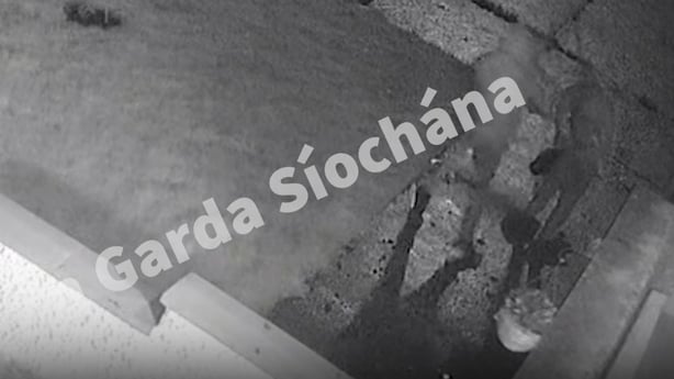 Gardaí have released CCTV footage of an arson attack in Edenderry, in which a young boy and his grand-aunt were killed over the weekend.