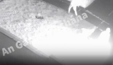 CCTV showing moment of Edenderry arson attack released