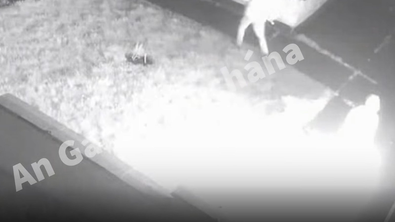 CCTV showing moment of Edenderry arson attack released