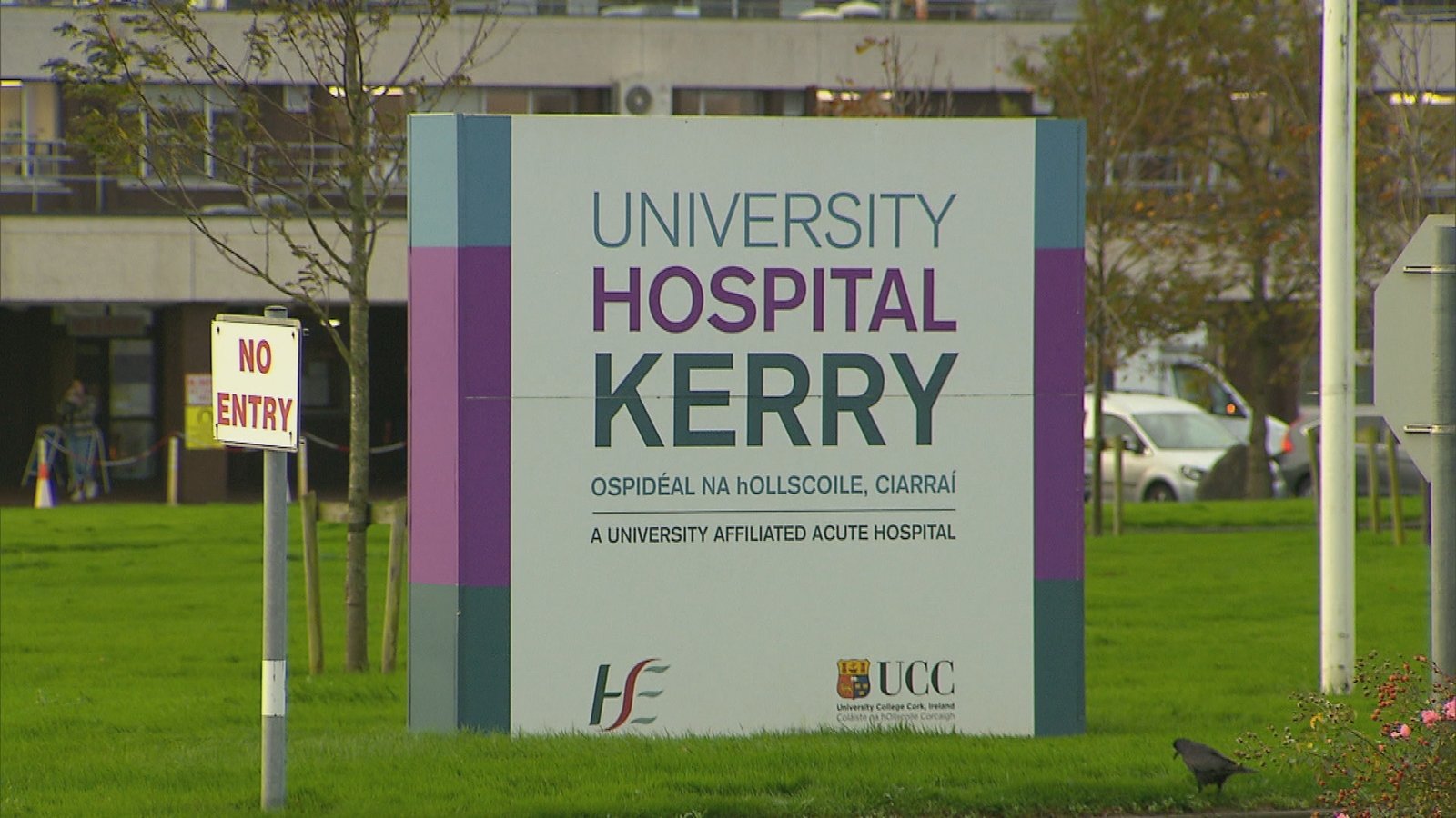 Woman, 70s, dies following Co Kerry road crash