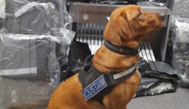 Cannabis worth around €3m seized at Dublin Airport