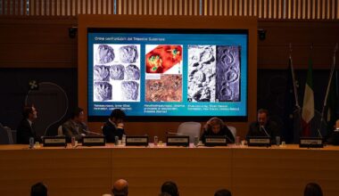 Hundreds of metres of dinosaur tracks found in Italy