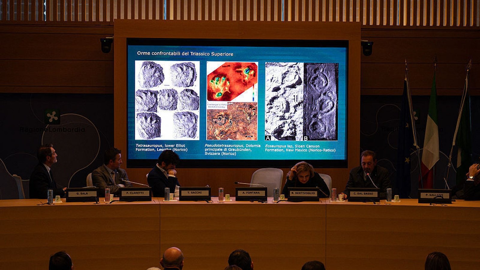 Hundreds of metres of dinosaur tracks found in Italy