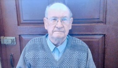 Pedestrian dies after being struck by car in Co Down