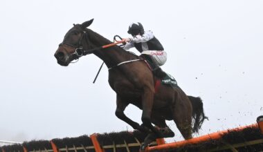 Elliott expects Coolio clues at Leopardstown