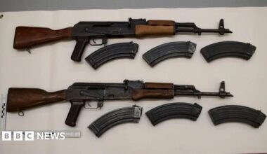 Two rifles surround magazines on a white background.