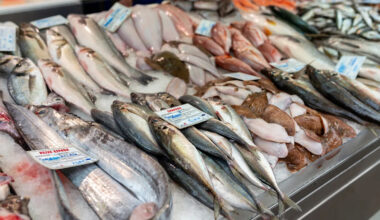 Yahoo lifestyle home