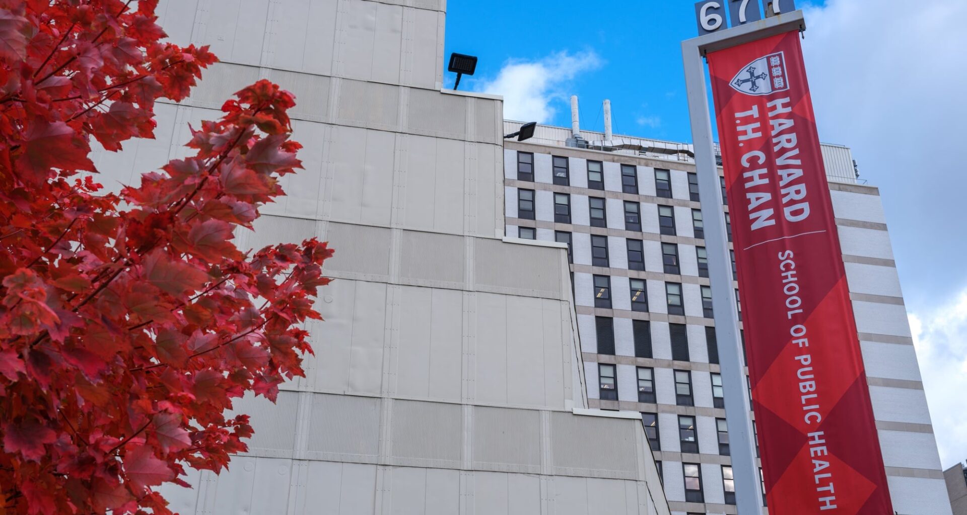 Public Health Faculty Slam Harvard’s Removal of FXB Center Director Mary Bassett | News