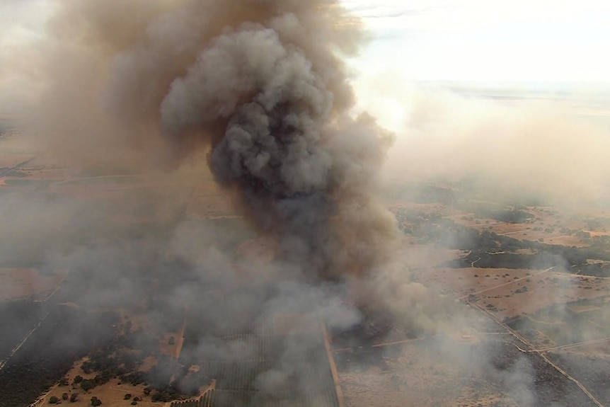 A big smoke plume rises from the land