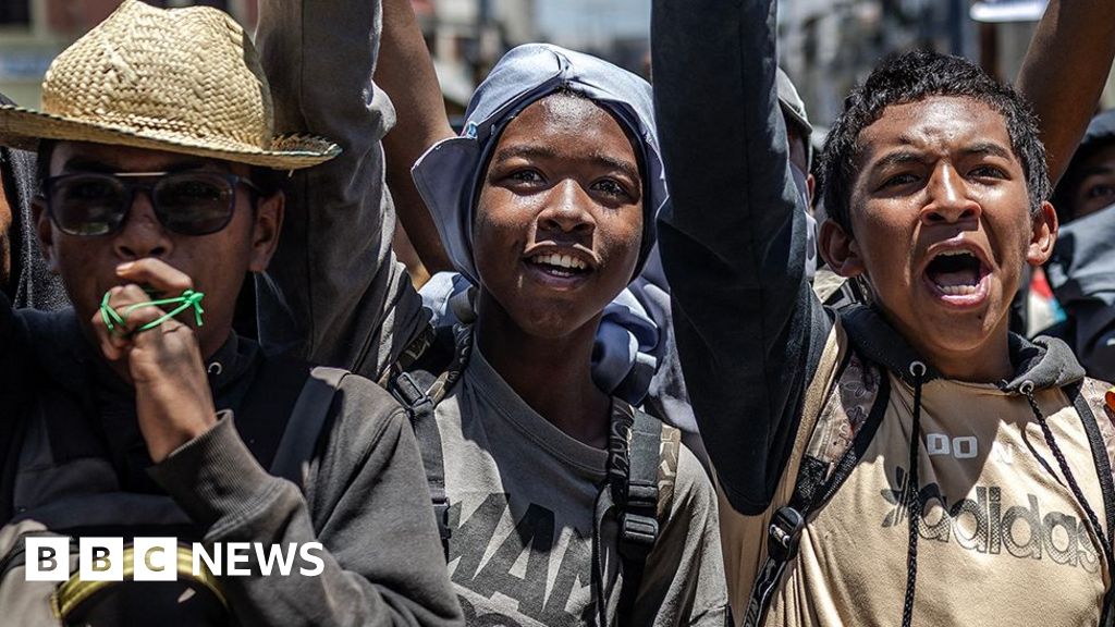 Africa's year in politics: Coups, elections and protests