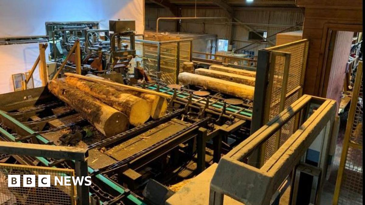 Photograph issued by the Health and Safety Executive of a machine used in the sawmilling trade. The large machine has several logs placed on it.