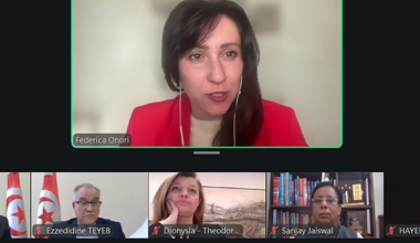 OSCE PA Special Representative on Artificial Intelligence highlights governance challenges at IPU webinar on AI and health