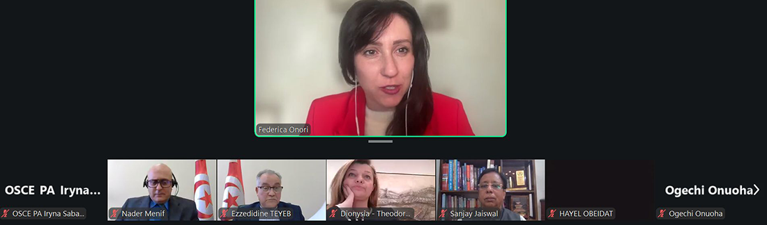 OSCE PA Special Representative on Artificial Intelligence highlights governance challenges at IPU webinar on AI and health