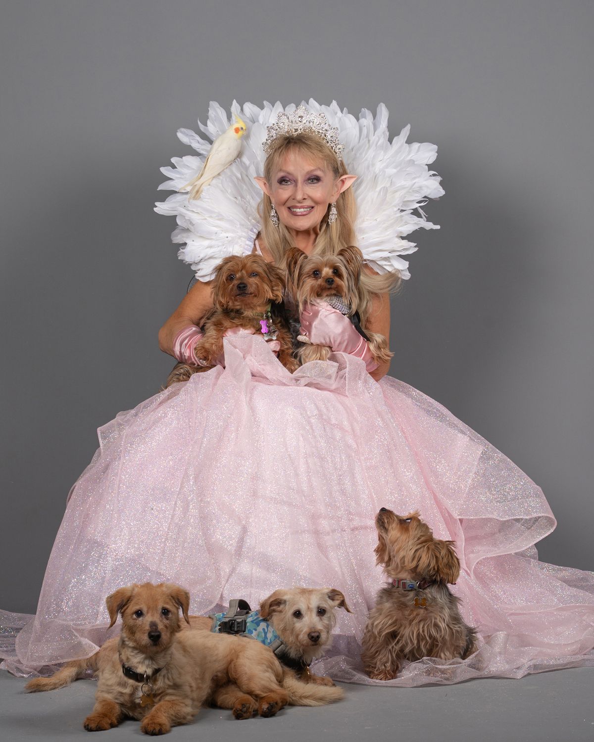 Twink (Adele King) pictured here with her beloved dogs including her adorable dog Tayto and bird Timberlake who will be appearing with her in the show