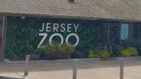 The Jersey Zoo white entrance sign on a wall of green foliage on the zoo entrance building. There are plants, then a path and bollards in the foreground.