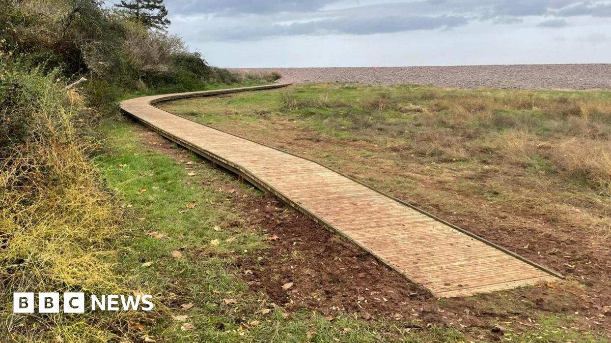 A timber boardwalk curves along the edge of a field with bushes on the left hand side