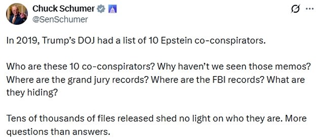 Schumer declared on social media that the files offered 'more questions than answers'