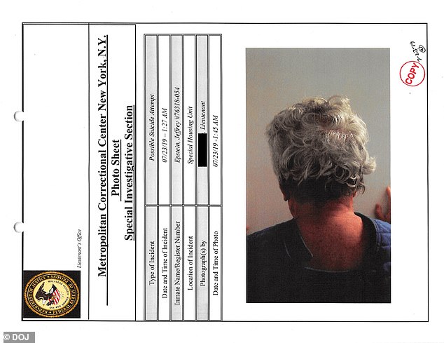 Epstein told prison officials that he did 'not like pain and even does not like when he has to give blood'