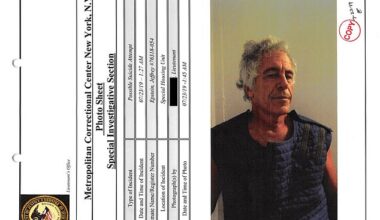 Documents from the Metropolitan Correctional Center in New York noted a 'possible suicide attempt' from Jeffrey Epstein on July 23, 2019