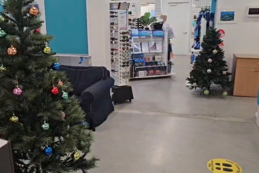 A picture of christmas trees inside a community centre on Cocos (Keeling) Islands.