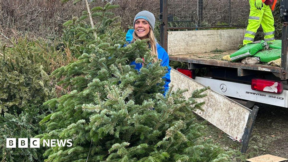 A woman with long, blonde hair wearing a grey beanie and blue coat standing behind a Christmas tree.