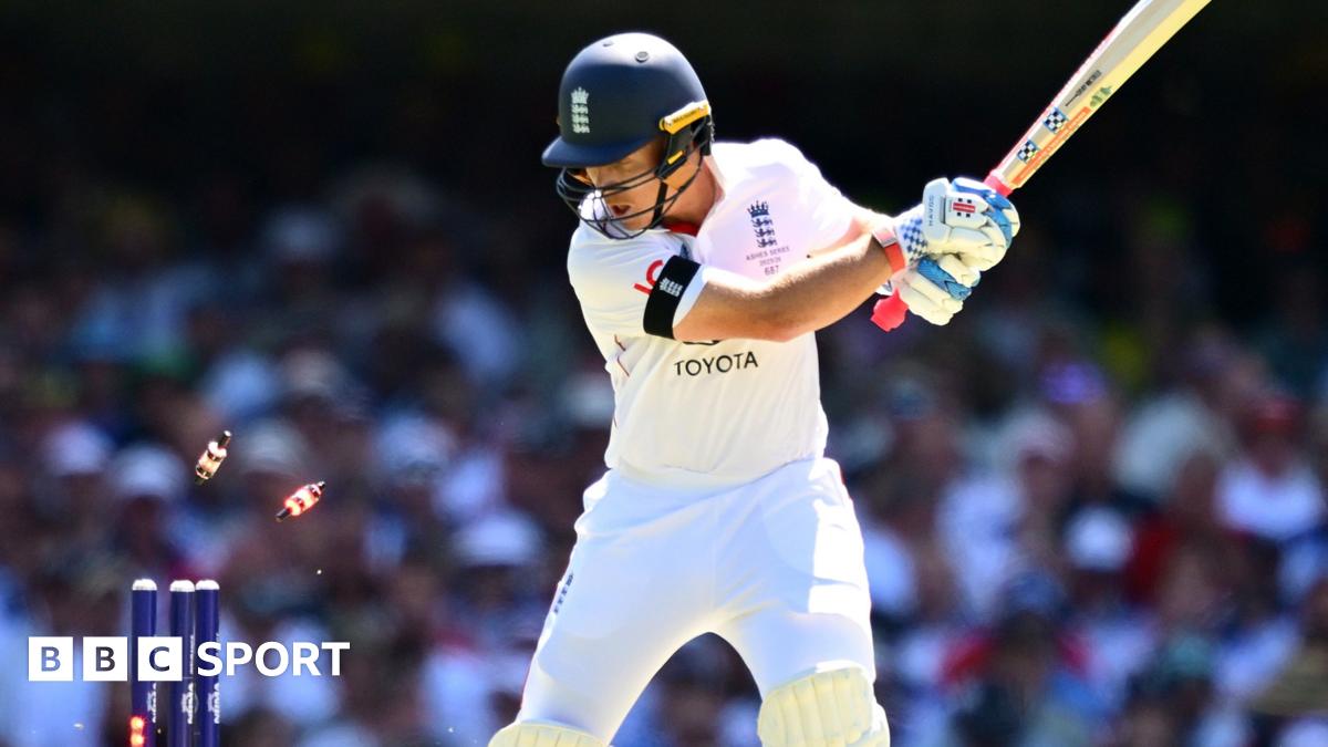 Nathan Lyon looks on