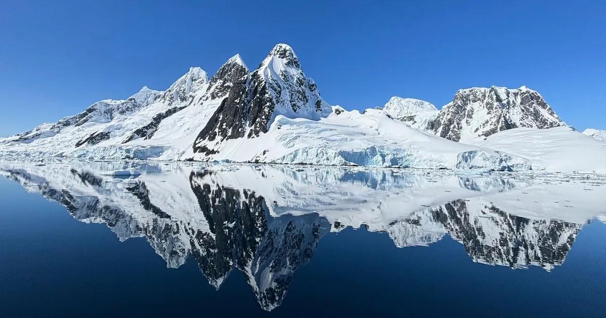 In Antarctica, photos show a remote area teeming with life amid growing risks from climate change