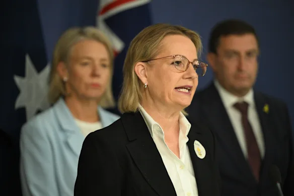 Opposition Leader Sussan Ley during the press conference on Monday.