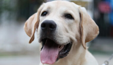 Yahoo lifestyle home