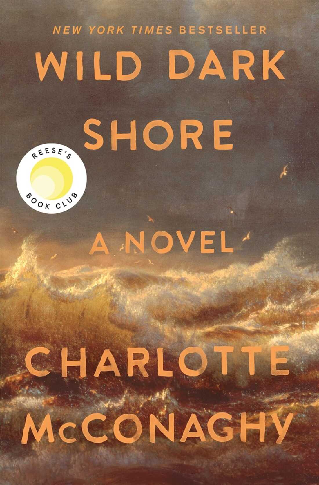 Wild Dark Shore, by Charlotte McConaghy