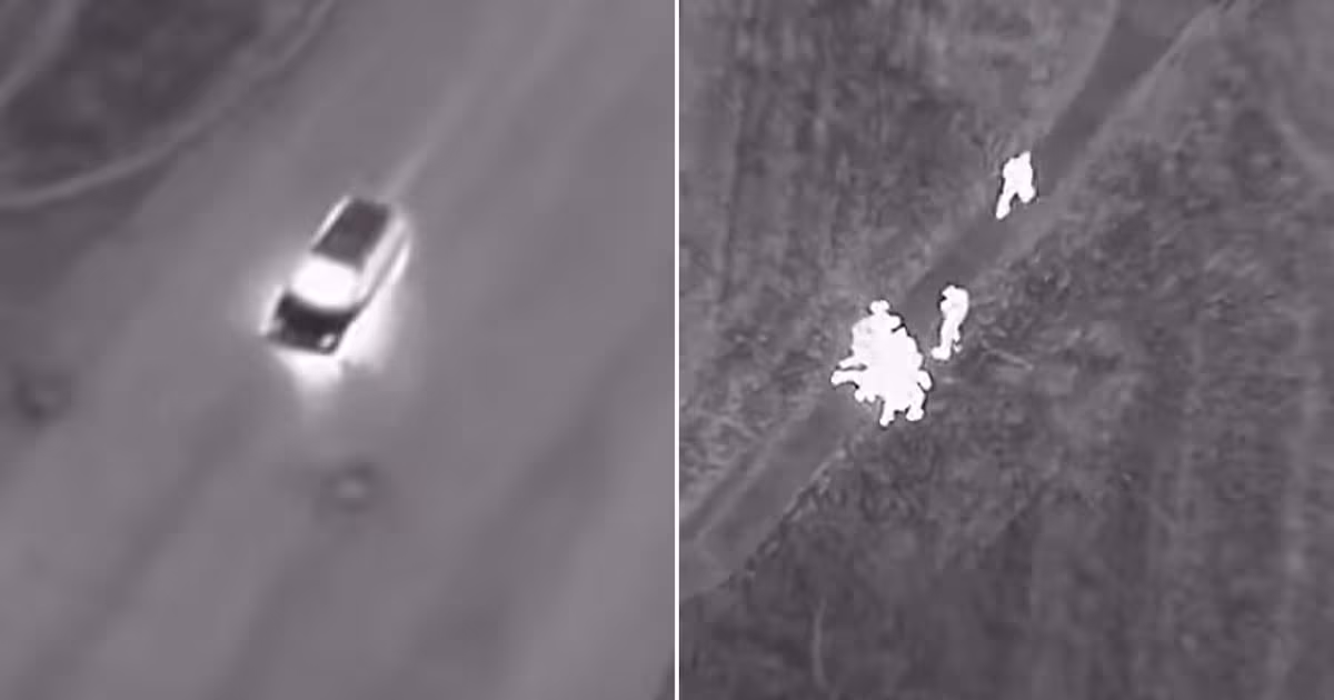 Video shows suspect trying to steal car, running red lights, and driving on wrong side of road in Vaughan - CTV News