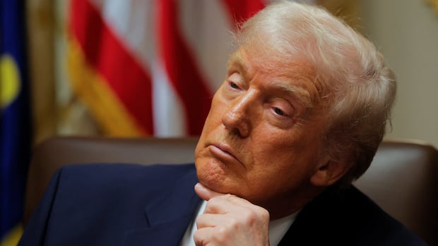 Trump called Somalis 'garbage,' amid slew of other insults. What prompted the U.S. president's invective?