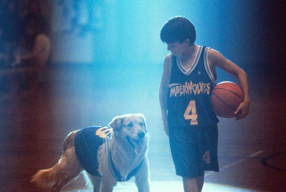 Buddy and Josh take to the court in the 1997 Walt Disney movie, Air Bud.