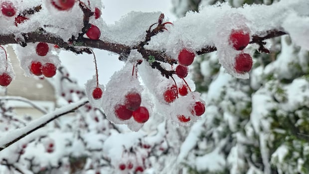 Midwinter-like chill on the way for the Maritimes