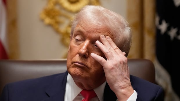 ‘Holding my breath:’ Fear in Ottawa after Trump tirade against Somali immigrants