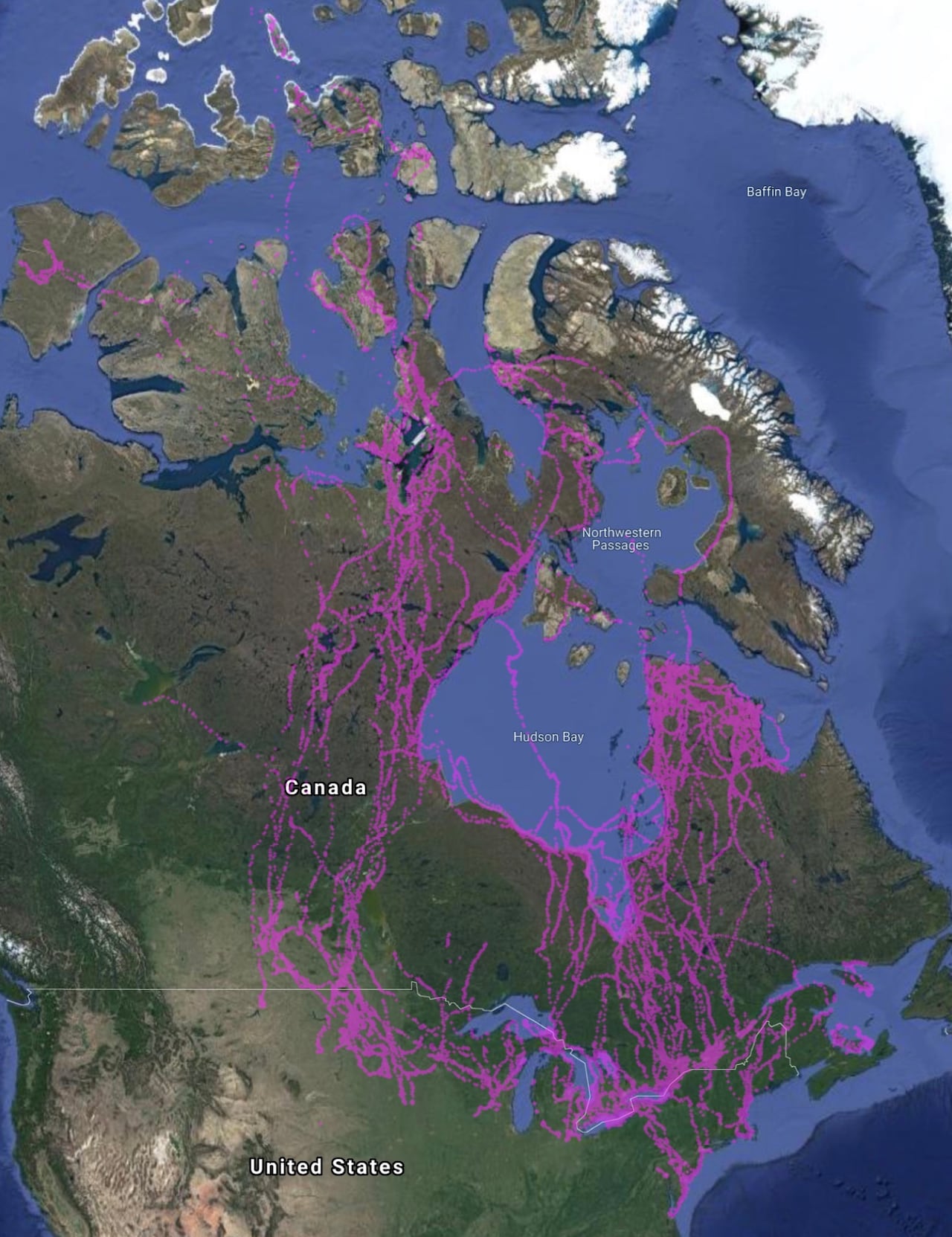 map of Canada with purple lines on it