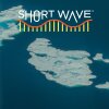 The image shows an aerial view of icebergs in the ocean. At the top, the text "SHORT WAVE" appears with a stylized red and yellow wave pattern below it.
