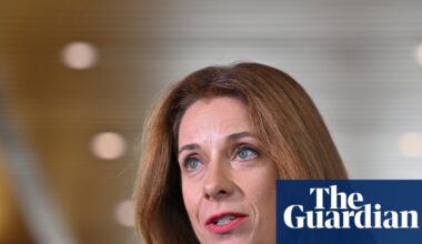 Anika Wells claimed more than $8,500 for family travel to Melbourne during AFL grand final weekends over three years | Australian politics