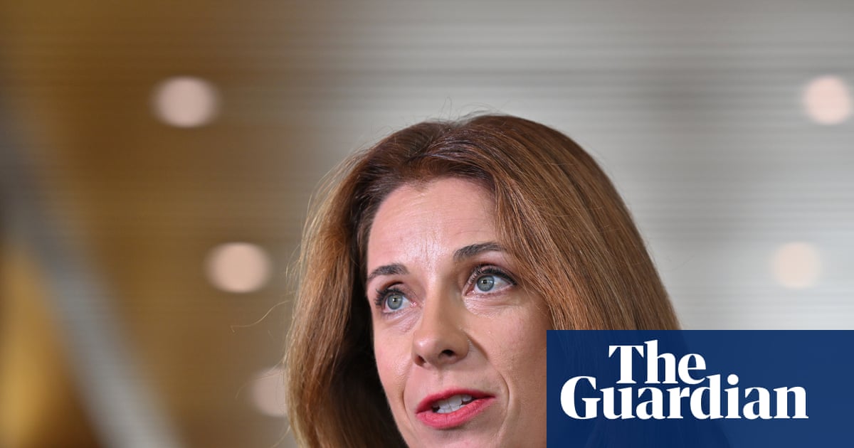 Anika Wells claimed more than $8,500 for family travel to Melbourne during AFL grand final weekends over three years | Australian politics