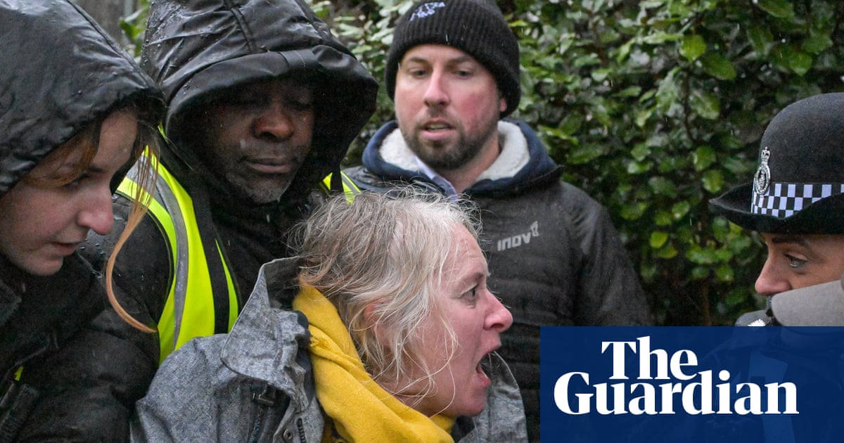 Cornish activist injured as police remove her from tree-felling protest | Trees and forests