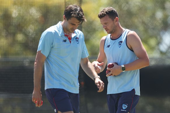 Pat Cummins and Josh Hazlewood training for NSW as they prepared for the Ashes series.