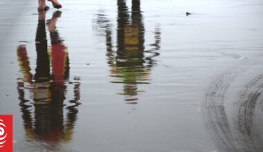 Beachgoers warned as drowning tragedies hit Auckland