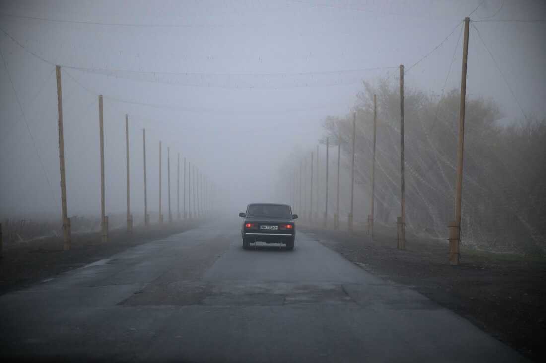 A car drives beneath nets t