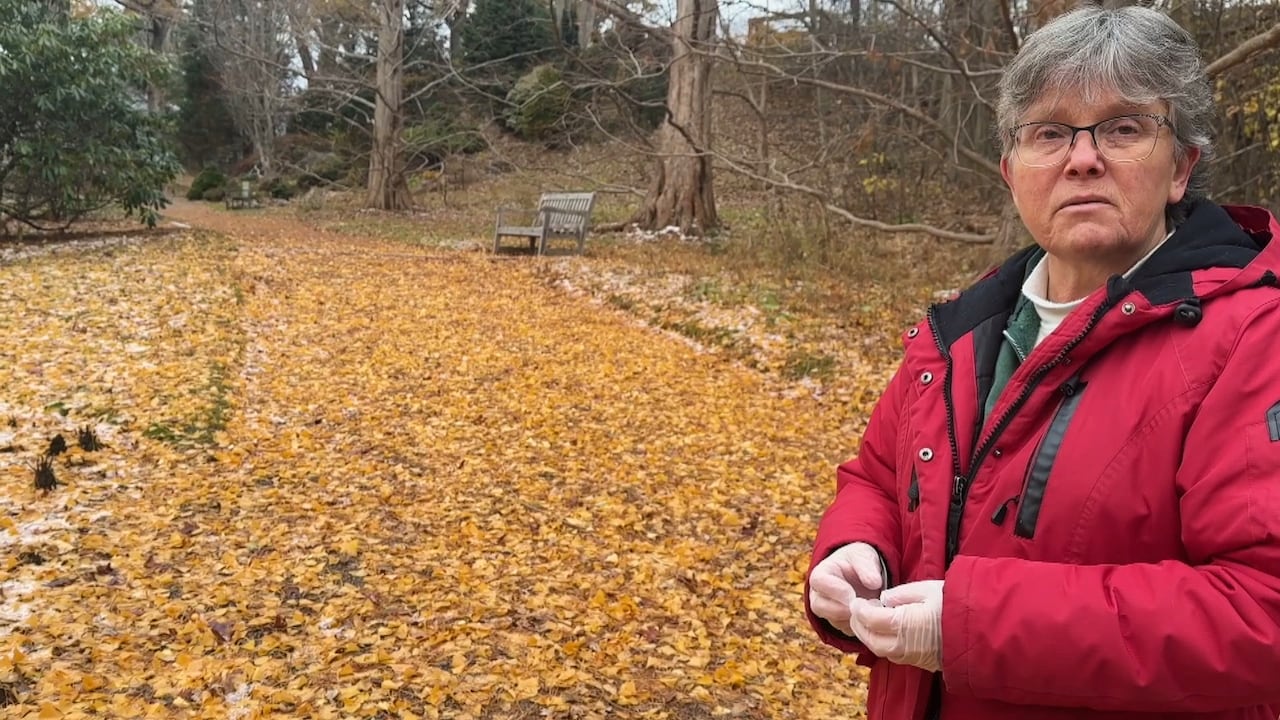 Fry stands on a path in the gardens.