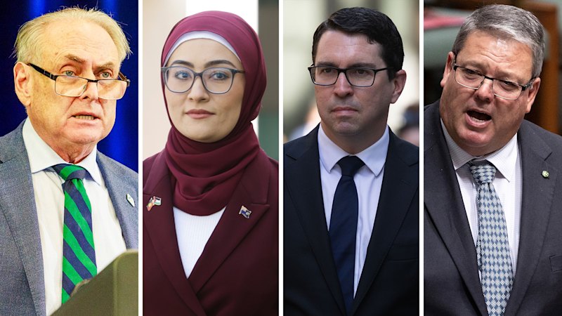 Andrew Willcox, Fatima Payman, Don Farrell top spenders