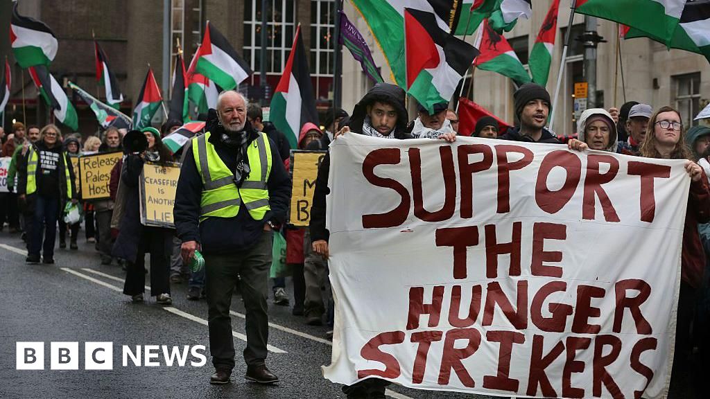 Palestine Action hunger strikers call for urgent meeting with ministers