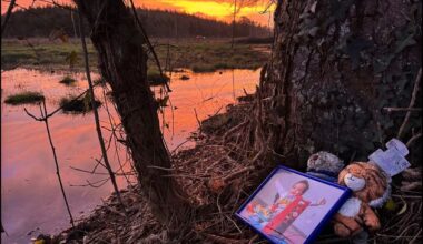 Gardaí launch homicide investigation over death of Donabate boy Daniel Aruebose (3)