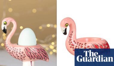 The Reject Shop faces a legal threat from a UK artist over a flamingo egg cup. Does it have a leg to stand on? | Consumer affairs